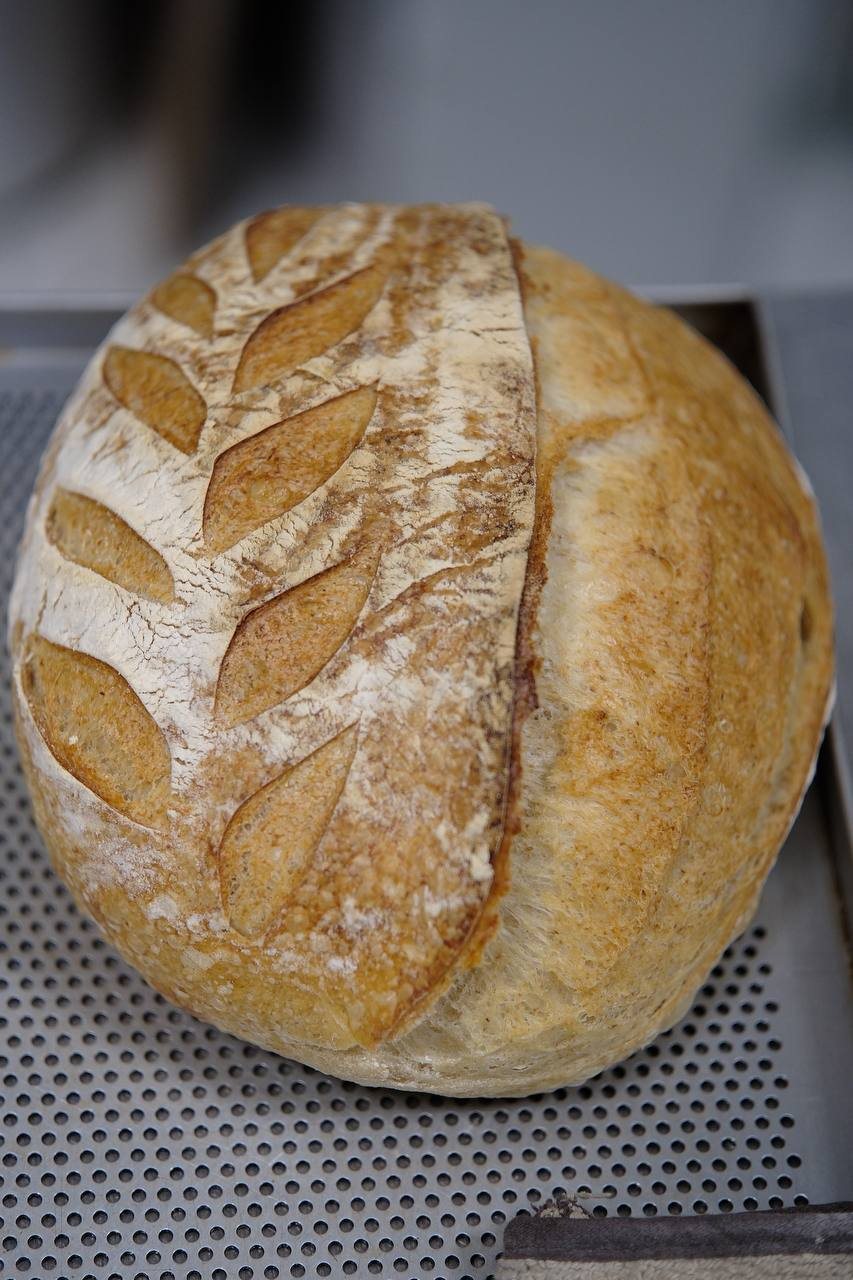 a scored sourdough loaf on a baking tray