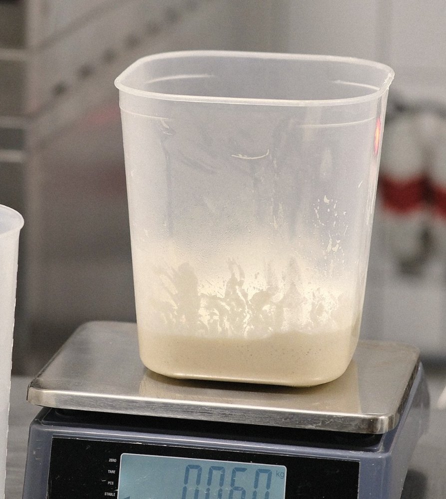 sourdough starter on a scale